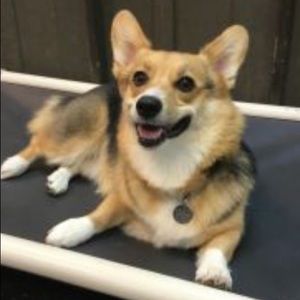 Meet your Posher, Sharon